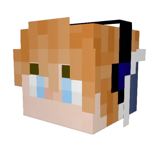 Meancraft22 Minecraft avatar head, 3D render