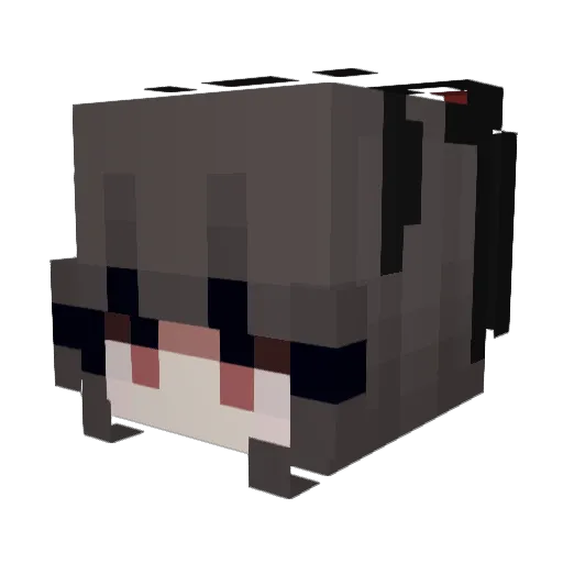 MeanieBun Minecraft avatar head, 3D render