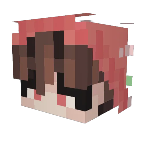 MeanieMiser Minecraft avatar head, 3D render
