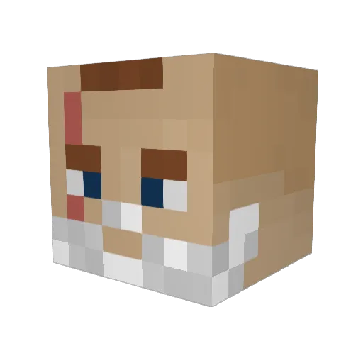 Mearc01 Minecraft avatar head, 3D render
