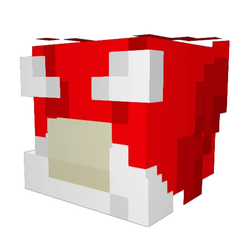 Meat1790 Minecraft avatar head, 3D render