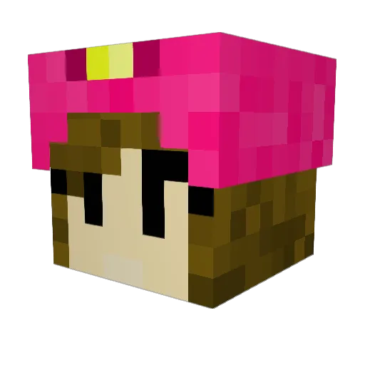MeatBones360 Minecraft avatar head, 3D render