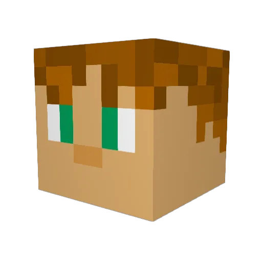 MeatLeof Minecraft avatar head, 3D render
