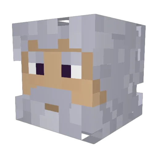 MeatTooSmall Minecraft avatar head, 3D render