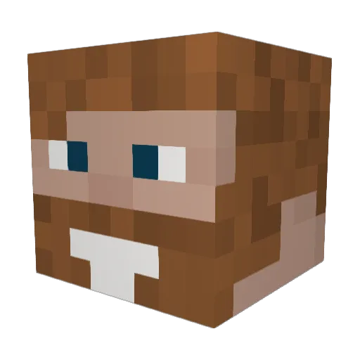 MeatWagon2203 Minecraft avatar head, 3D render