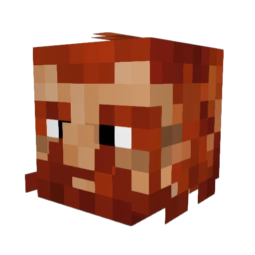 Meat_Stew293 Minecraft avatar head, 3D render