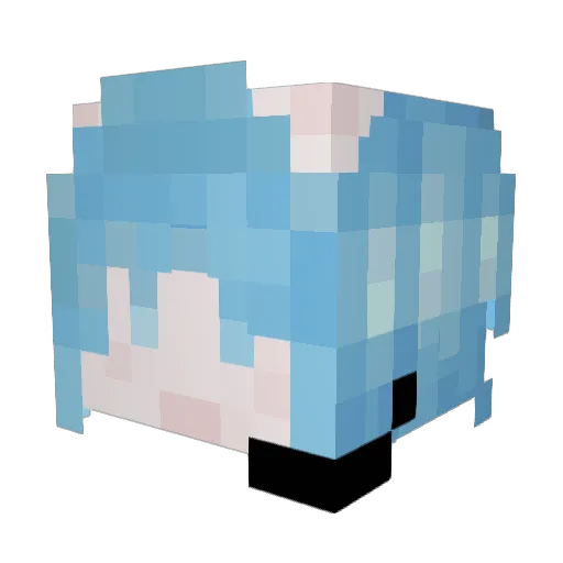 MeatballFish Minecraft avatar head, 3D render