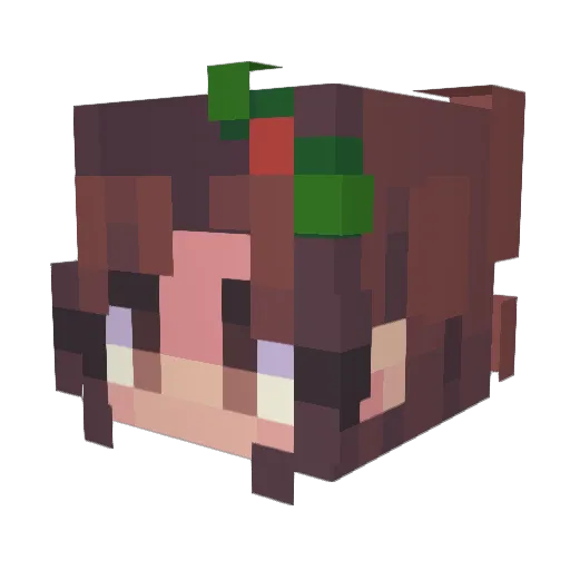 MeatballNoSauce Minecraft avatar head, 3D render