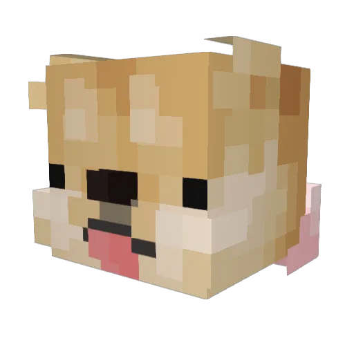 Meatball_Ravioli Minecraft avatar head, 3D render