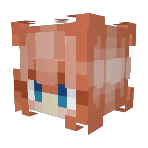 Meatballs1638 Minecraft avatar head, 3D render