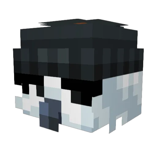 Meatchip Minecraft avatar head, 3D render