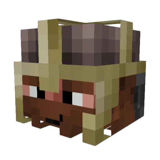 Meatguyfr Minecraft avatar head, 3D render