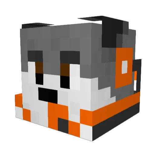 Meathead6789 Minecraft avatar head, 3D render