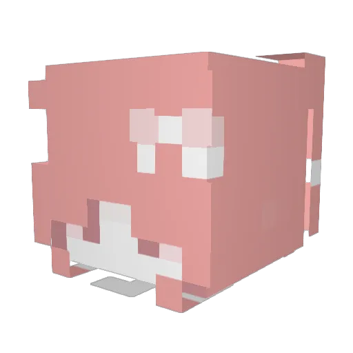 MeawMaw2004 Minecraft avatar head, 3D render
