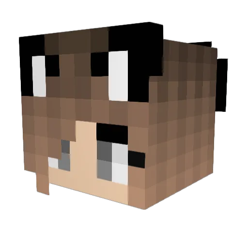 Meawesome42 Minecraft avatar head, 3D render