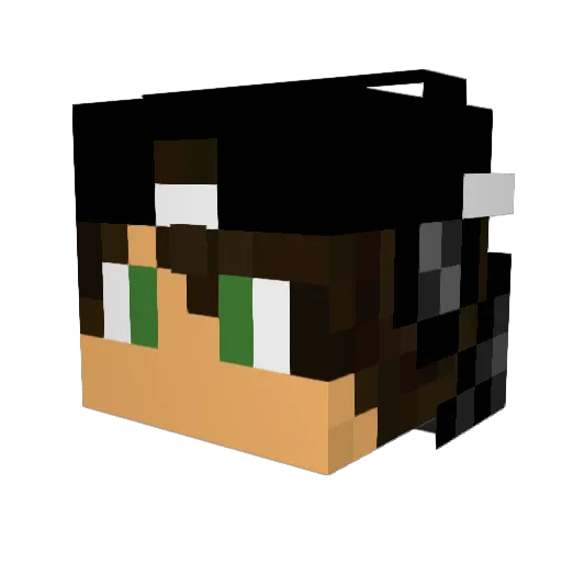 Mecaboy007 Minecraft avatar head, 3D render