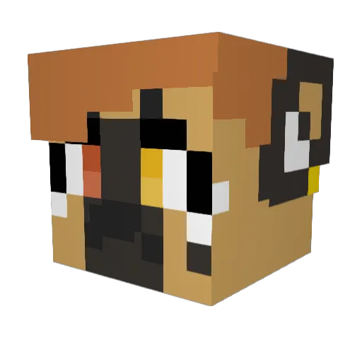 Mecalyna666 Minecraft avatar head, 3D render