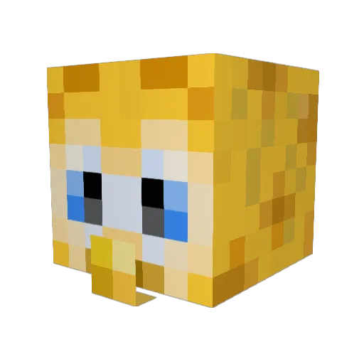 MechanicTripp Minecraft avatar head, 3D render