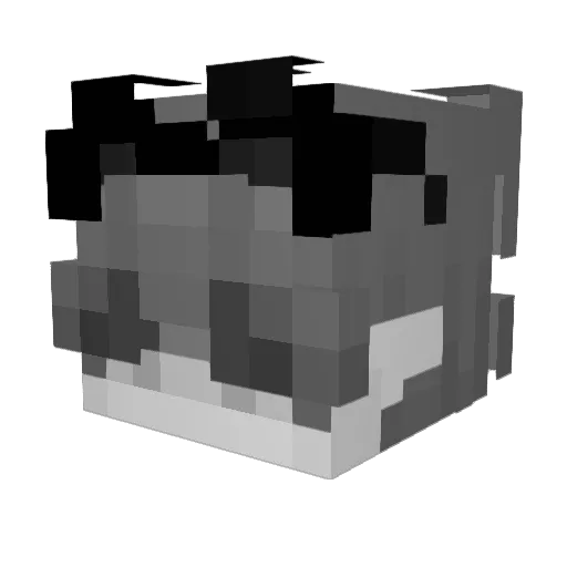 Med1Jar Minecraft avatar head, 3D render