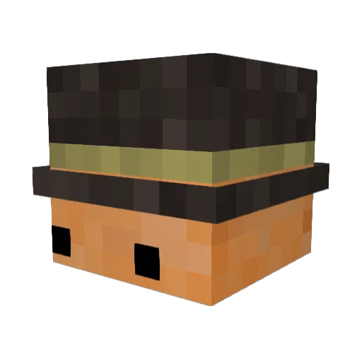 Med1ake Minecraft avatar head, 3D render