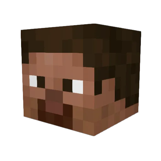 Med1c0 Minecraft avatar head, 3D render