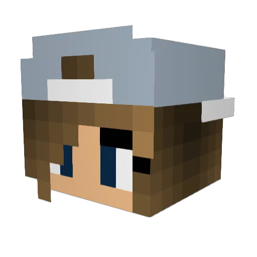 MedFries Minecraft avatar head, 3D render