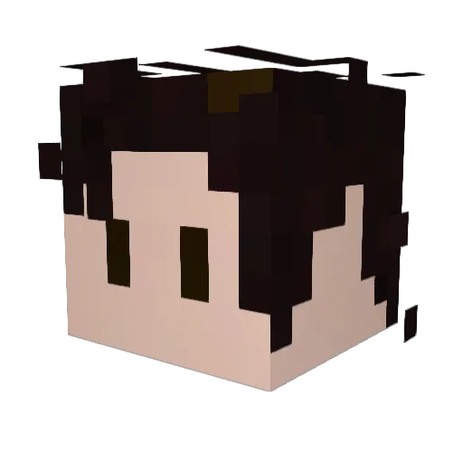 MedTun Minecraft avatar head, 3D render