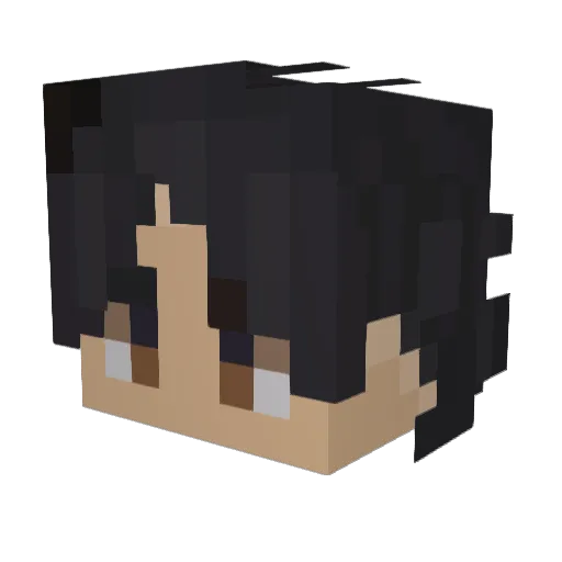 Medania Minecraft avatar head, 3D render