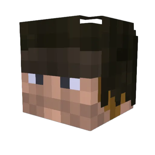 Medann Minecraft avatar head, 3D render