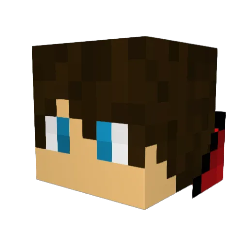 Meddo10 Minecraft avatar head, 3D render