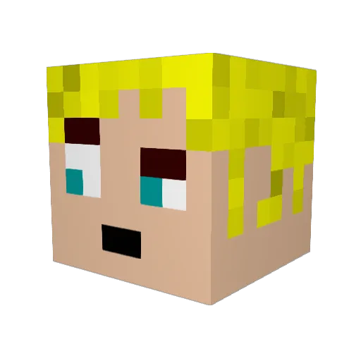Medemsire Minecraft avatar head, 3D render