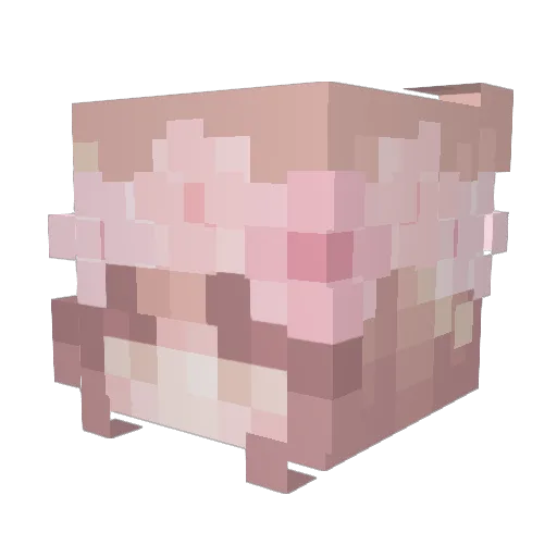 Medesin Minecraft avatar head, 3D render
