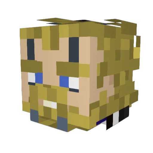 MediaSage Minecraft avatar head, 3D render
