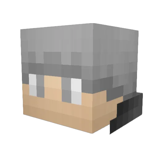 MedicalThief Minecraft avatar head, 3D render
