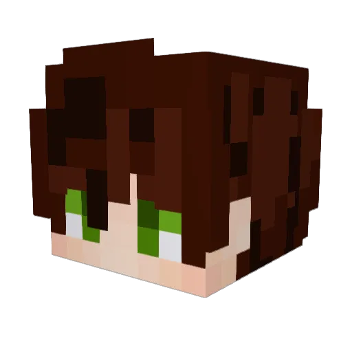 MedicallyMuted16 Minecraft avatar head, 3D render