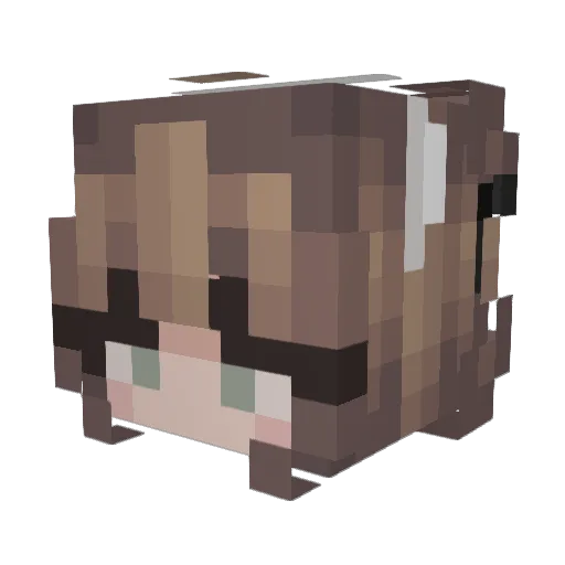 MedievalName23 Minecraft avatar head, 3D render