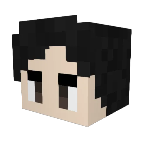 Medina95 Minecraft avatar head, 3D render