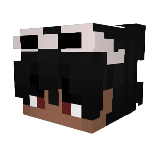 Medlem_ Minecraft avatar head, 3D render