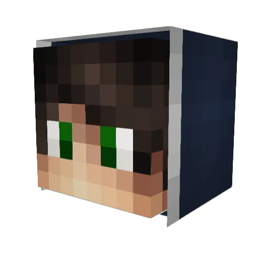 Medorite Minecraft avatar head, 3D render