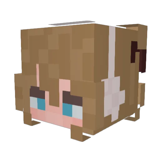 Medowin Minecraft avatar head, 3D render