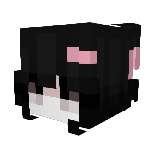 Medskipper Minecraft avatar head, 3D render