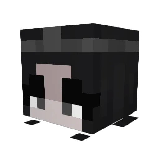 MedusaStone Minecraft avatar head, 3D render