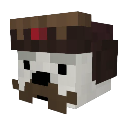 Medusa_TM Minecraft avatar head, 3D render