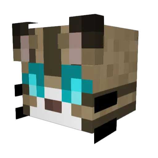 MeeMawTGG Minecraft avatar head, 3D render