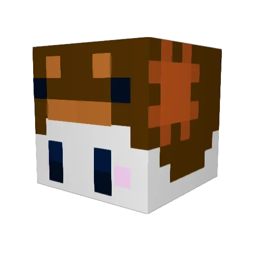 MeeaSparkles Minecraft avatar head, 3D render