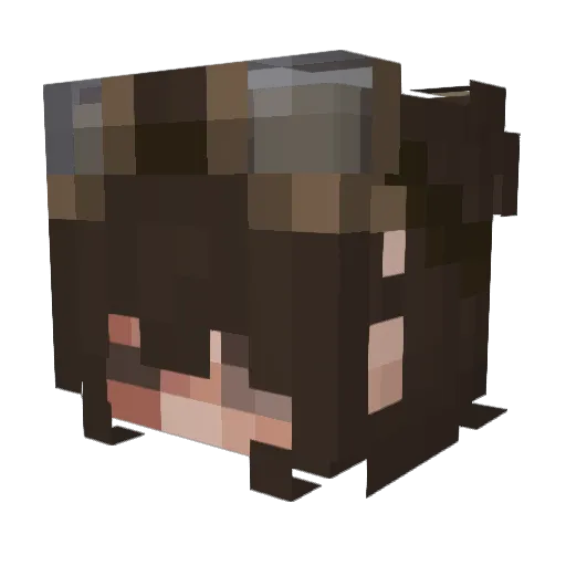 Meeb0_ Minecraft avatar head, 3D render