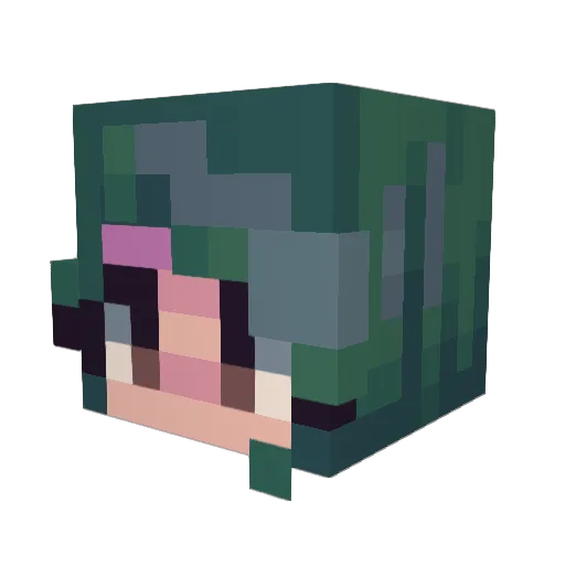 Meech96 Minecraft avatar head, 3D render