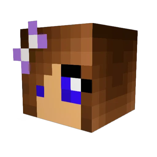 MeechBug Minecraft avatar head, 3D render