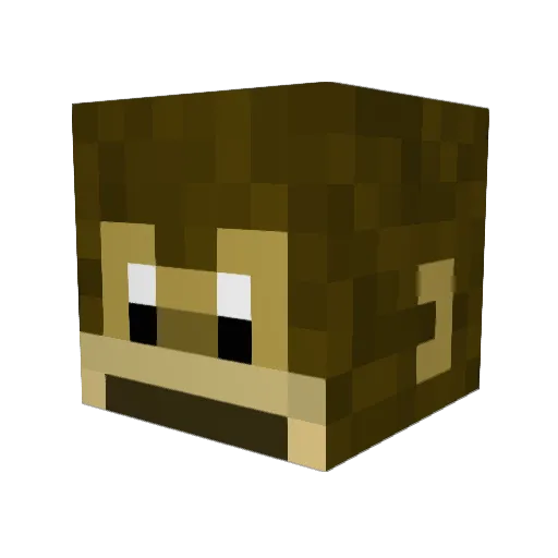Meechhyy Minecraft avatar head, 3D render