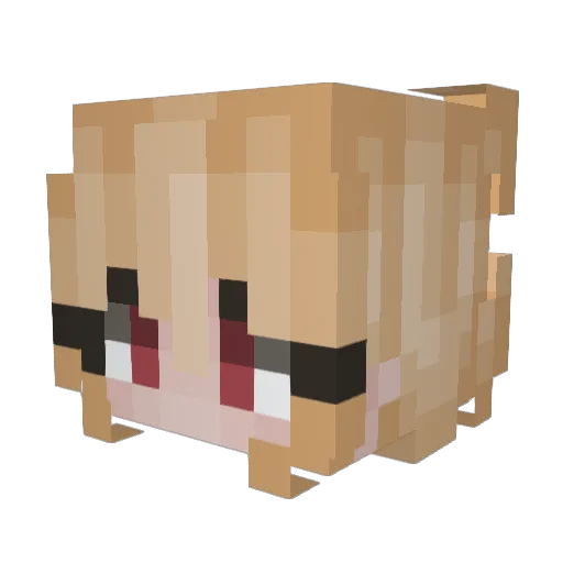 Meegmoov Minecraft avatar head, 3D render